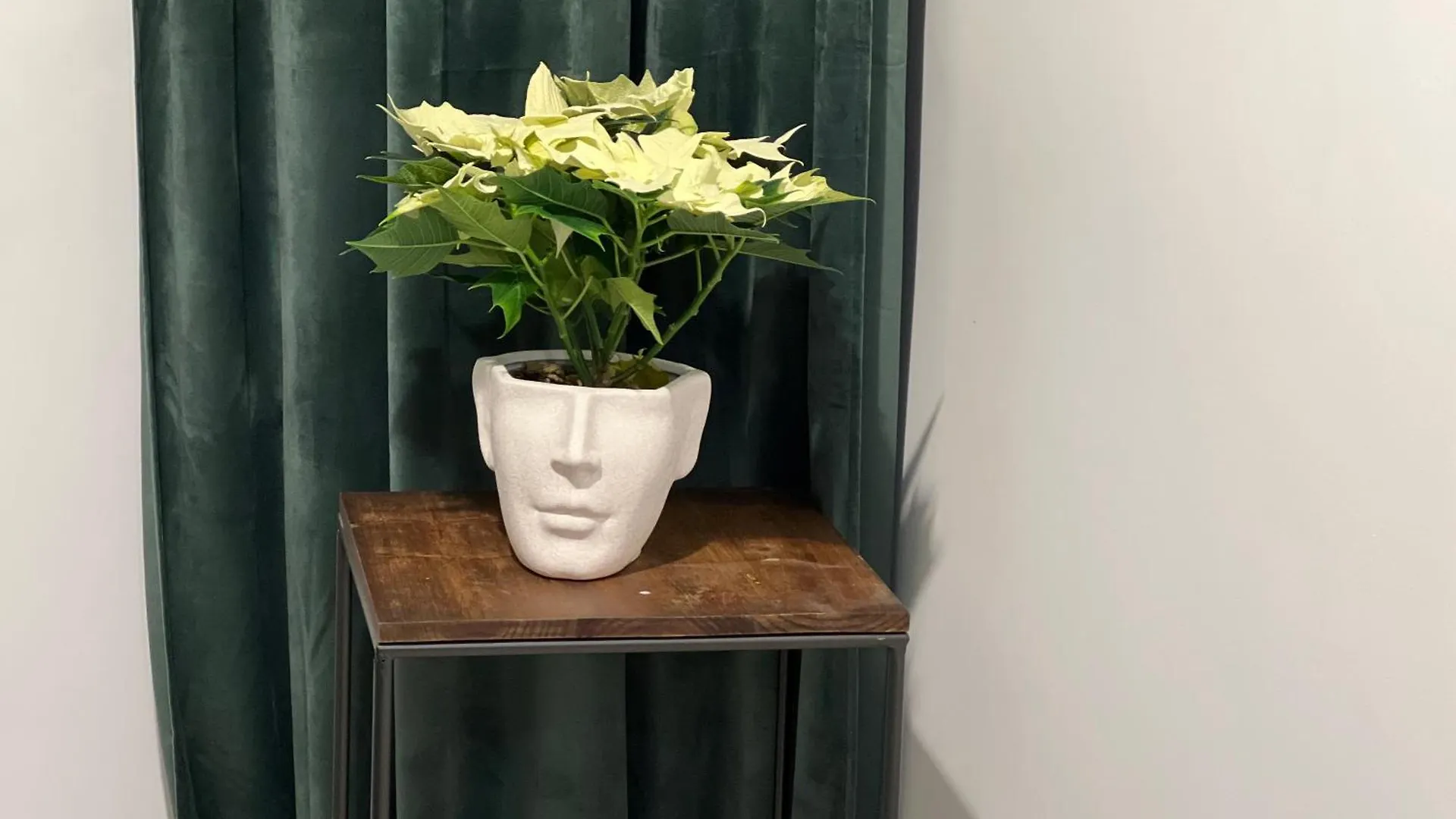 Cosy Studio Floreasca Бухарест Апартаменты