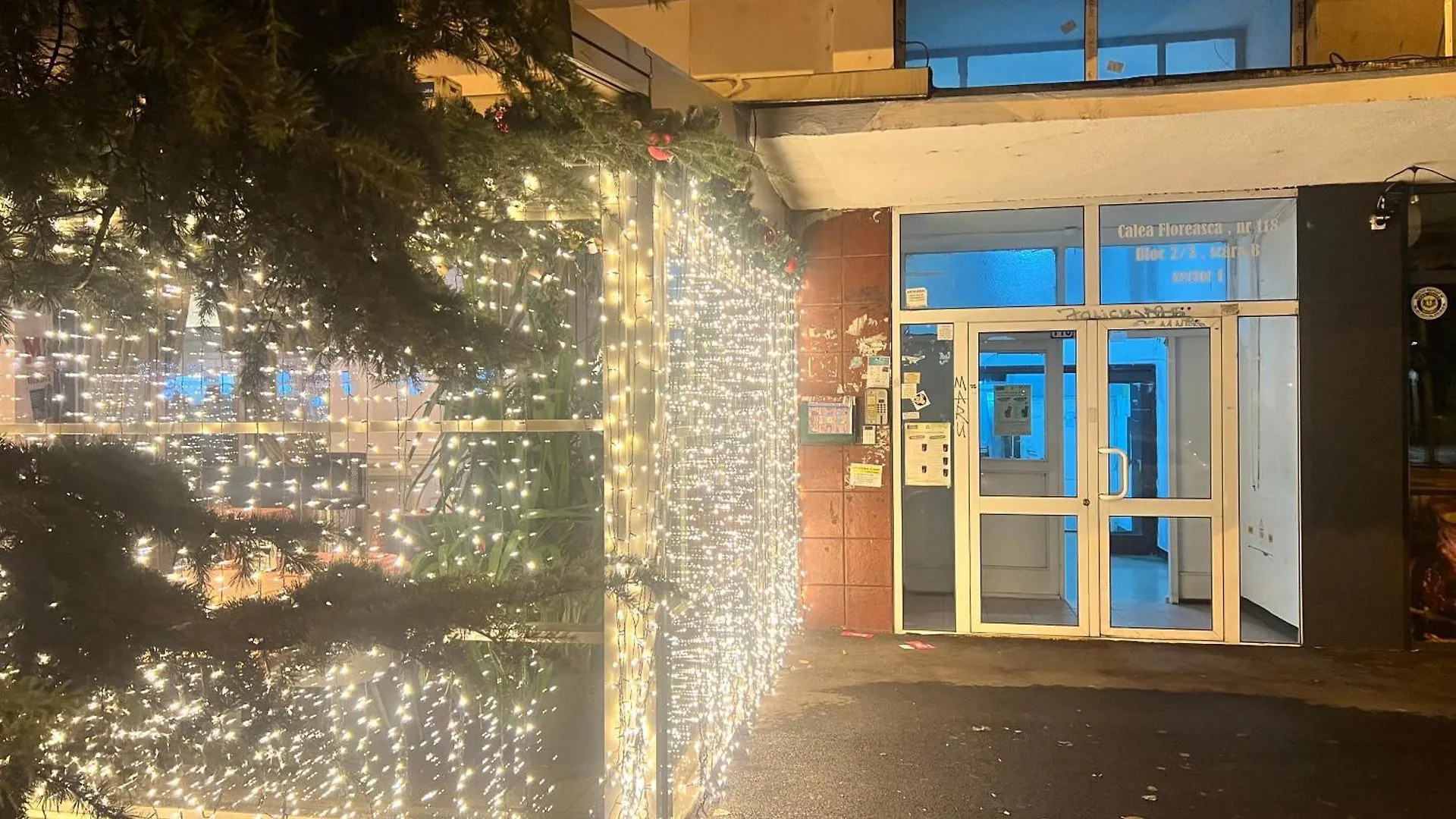 Контакты Cosy Studio Floreasca